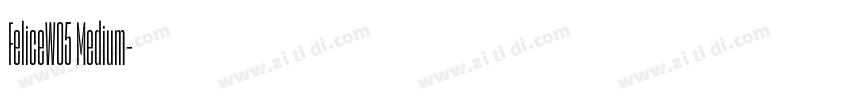 FeliceW05 Medium字体转换